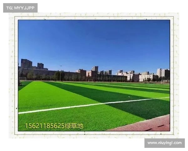 提升草坪质量的关键因素及养护技巧解析 提升草坪质量的关键因素及养护技巧解析