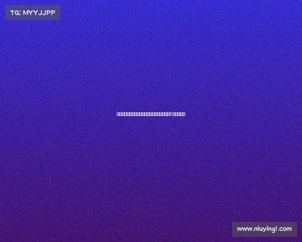 弗兰克谈接手后球队变化:帕利尼亚符合我们对6号位的需求 弗兰克谈接手后球队变化:帕利尼亚符合我们对6号位的需求