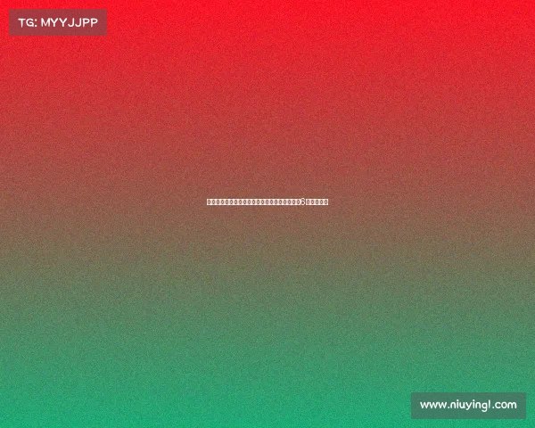 弗兰克谈接手后球队变化：帕利尼亚符合我们对6号位的需求