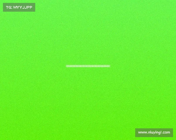 提升观赛体验与互动性：探索网球比赛观众的新需求与创新服务模式