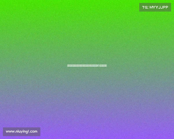 弗兰克谈接手后球队变化：帕利尼亚符合我们对6号位的需求